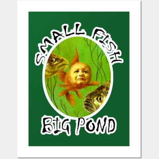 Small Fish Big Pond Baby Goldfish Design Posters and Art